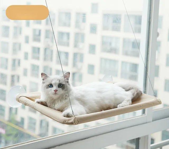 Cat Window Bed Stylish Feline Lounging Window Perch Feline Fancy