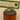 Gold cat-shaped ring on a gray cushion with a blurred 'Feline Fancy' sign in the background.