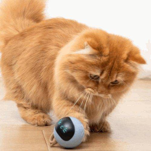 Automatic Cat Toy featuring interactive movement that stimulates your cat’s hunting instincts for hours of play