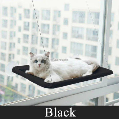 Cat Window Bed