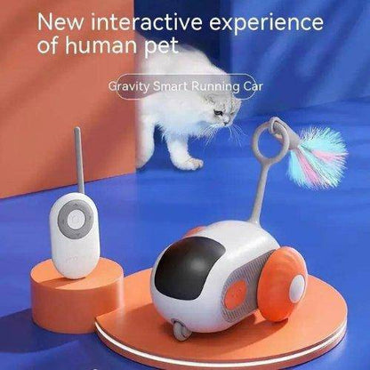 Perfect for cat owners looking to provide independent playtime for their pets, the Remote Control Cat Toy offers hands-on fun