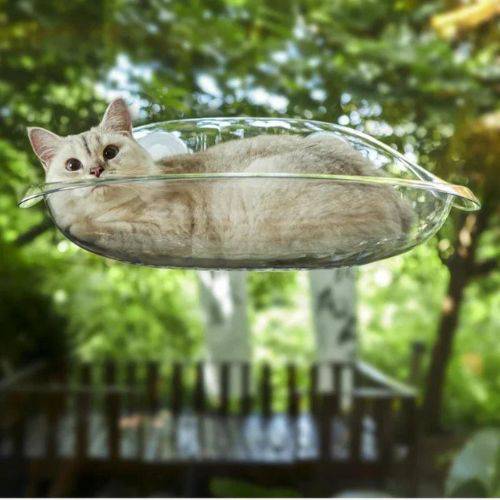 Floating Window Bed designed to give your cat a cozy perch with a view.