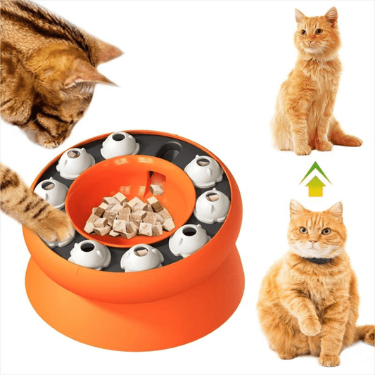 Innovative Push Puzzle Feeder to stimulate your cat’s mind and encourage slow eating.