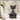 Unique Black Cat Meditation Statue, a thoughtful gift for cat lovers and mindfulness enthusiasts.