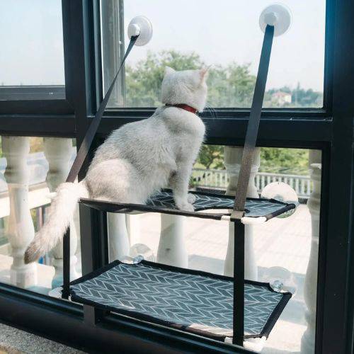 Dream Window Hammock providing your cat with a relaxing, elevated resting spot.