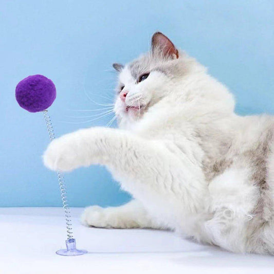 Cat Spring Toy featuring a fun, bouncy design that keeps your feline entertained for hours