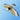 Add excitement to your cat's playtime with the interactive Flying Bird Cat Toy, perfect for simulating hunting behavior