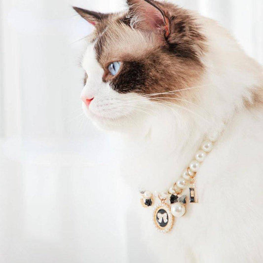 Pearl Cat Collar featuring an elegant design with delicate pearls, perfect for adding a touch of sophistication to your cat's look