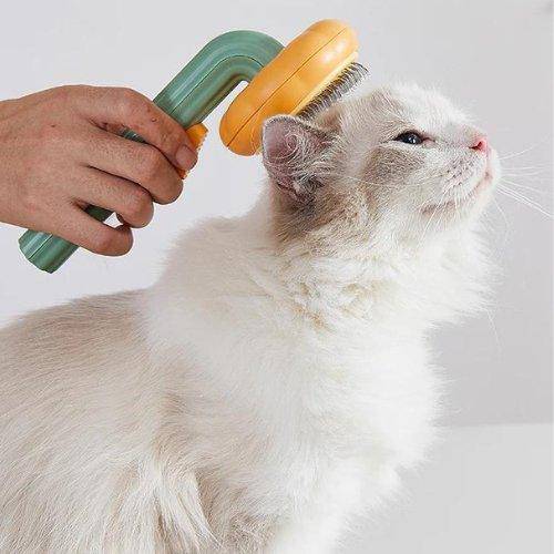 Pumpkin Cat Brush featuring a unique pumpkin-shaped handle for a fun and functional grooming experience