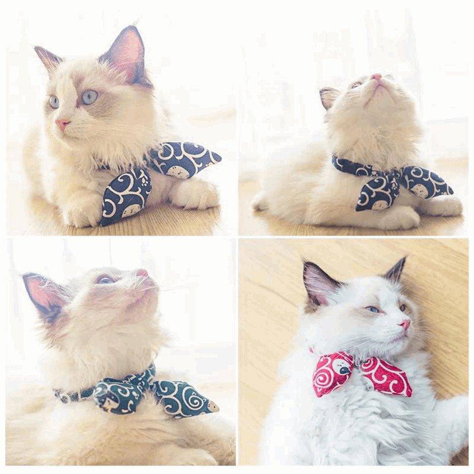 Crafted with high-quality materials, the Cat Collar With Bow is durable and perfect for everyday wear