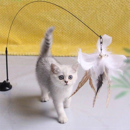 Feather Cat Toy featuring colorful feathers that flutter and entice your cat to chase, bat, and pounce