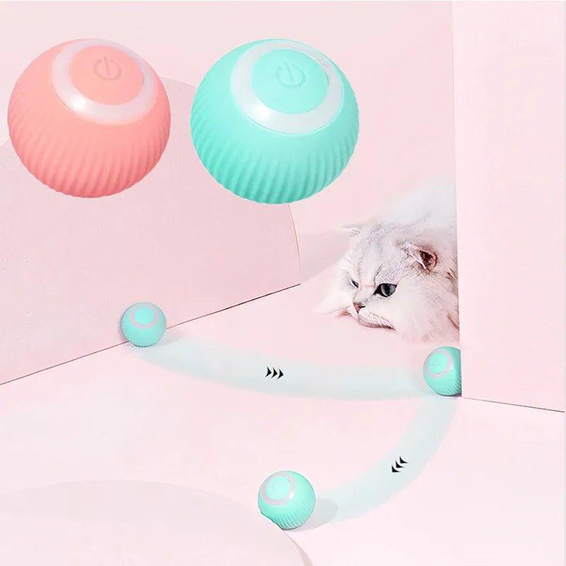 Interactive Cat Toy - Feline Fancy