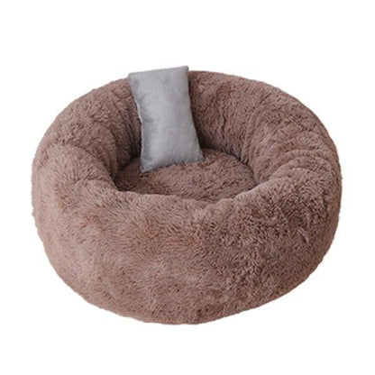 Orthopedic Cat Bed - Feline Fancy