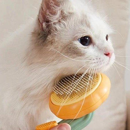 Pumpkin Cat Brush - Feline Fancy