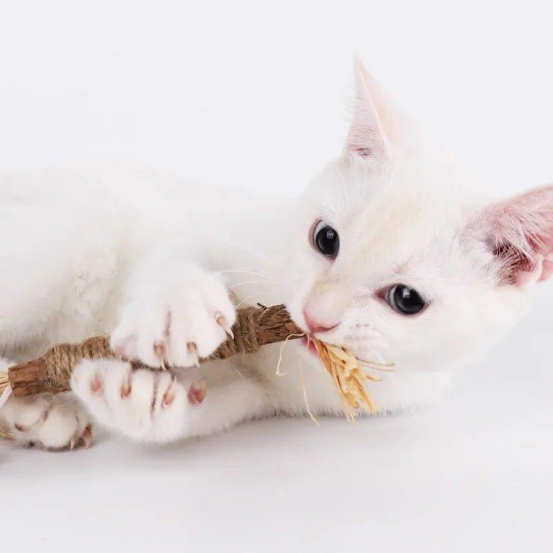 Silvervine Cat Toy - Feline Fancy