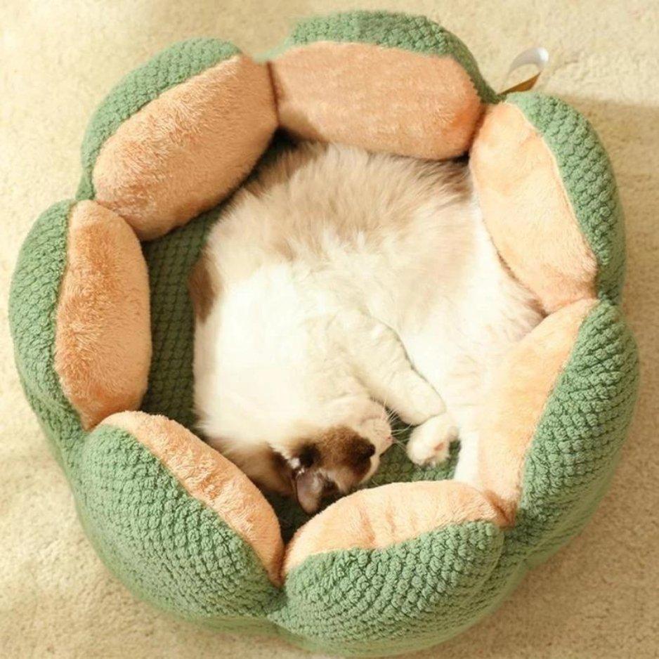 Small Cat Bed - Feline Fancy